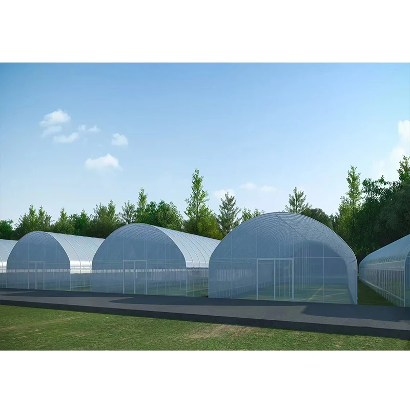 # l Low Cost Farm Singlespan G - Organic Farming In Agriculture 리뷰 및 가격