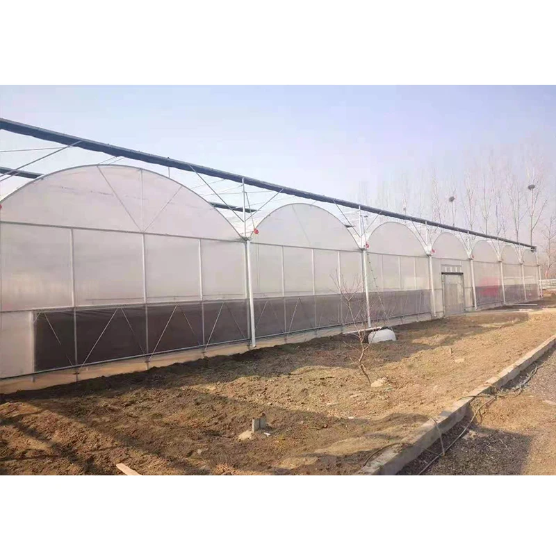 # l Low Cost Farm Singlespan G - Organic Farming In Agriculture 리뷰 및 가격