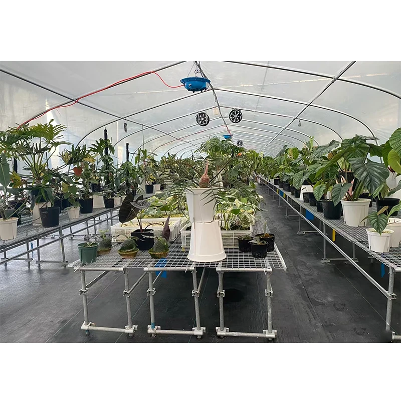 # l Low Cost Farm Singlespan G - Organic Farming In Agriculture 리뷰 및 가격
