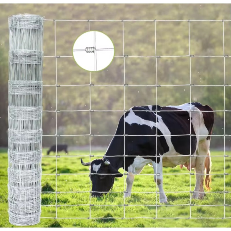 Customized Iron Wire Mesh Fixe - Farming Agriculture & Cooking 리뷰 및 가격