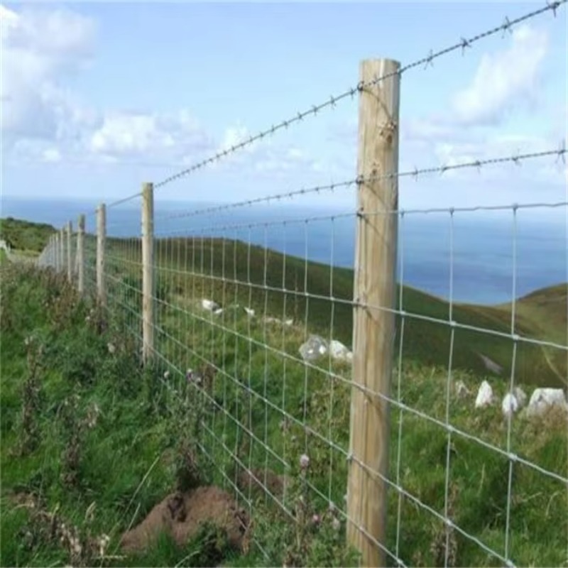 Customized Iron Wire Mesh Fixe - Farming Agriculture & Cooking 리뷰 및 가격