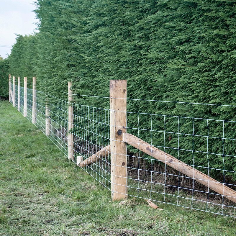 Customized Iron Wire Mesh Fixe - Farming Agriculture & Cooking 리뷰 및 가격