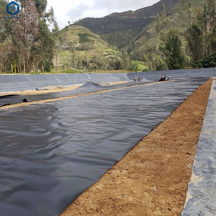 Geomembrane Manufacturers Wate - Farm Pond Liner 리뷰 및 가격