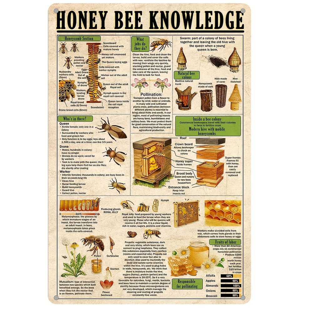 Retro Honey Bee Anatomy & Life - Farming Japan 리뷰 및 가격