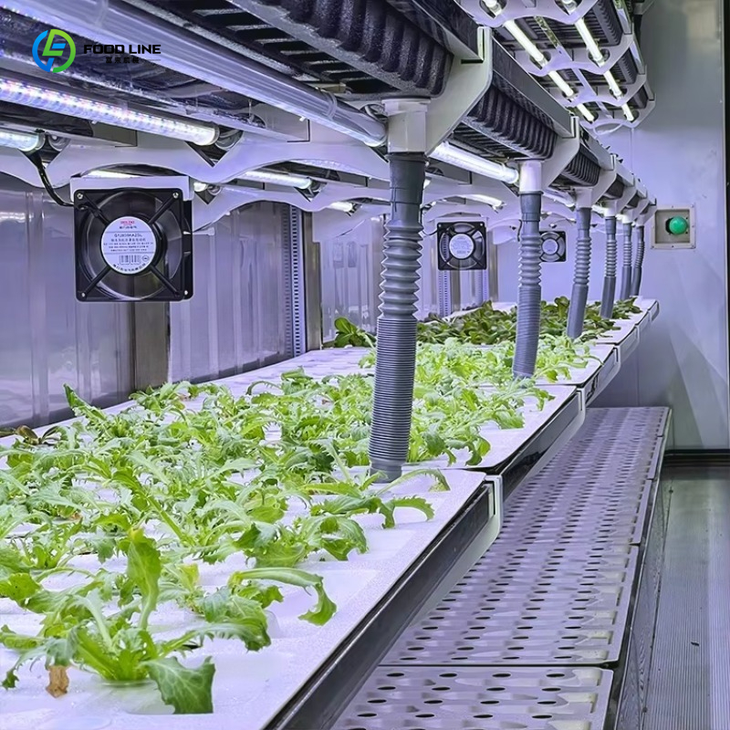 Customized Custom Container Fa - Organic Farming In Agriculture 리뷰 및 가격