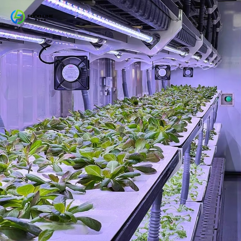 Customized Custom Container Fa - Organic Farming In Agriculture 리뷰 및 가격