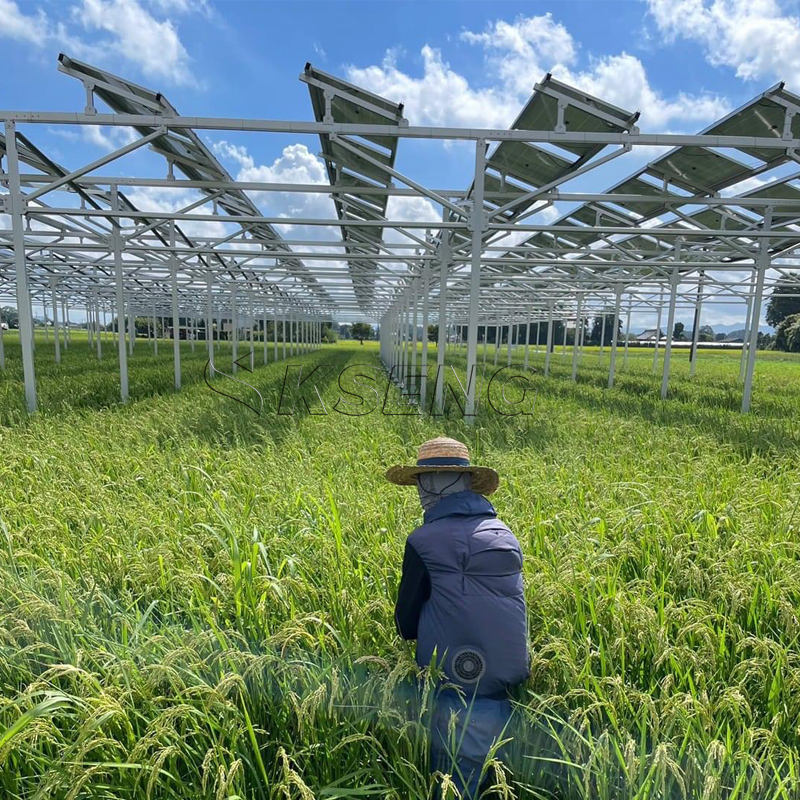 Japan`s New Agriculture Alumin - Sustainable Agriculture/Farming 리뷰 및 가격
