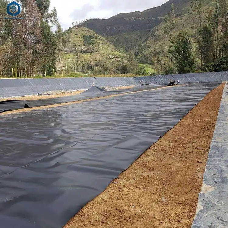 Geomembrane Manufacturers Wate - Farm Pond Liner 리뷰 및 가격