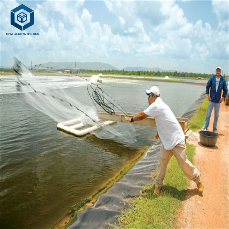 Geomembrane Manufacturers Wate - Farm Pond Liner 리뷰 및 가격